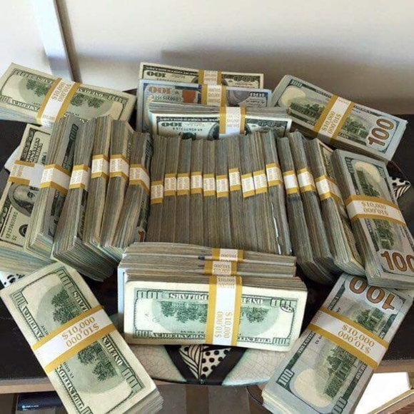 Meet your Posher, Calvin - Picture 2 of 2